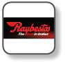 Raybestos